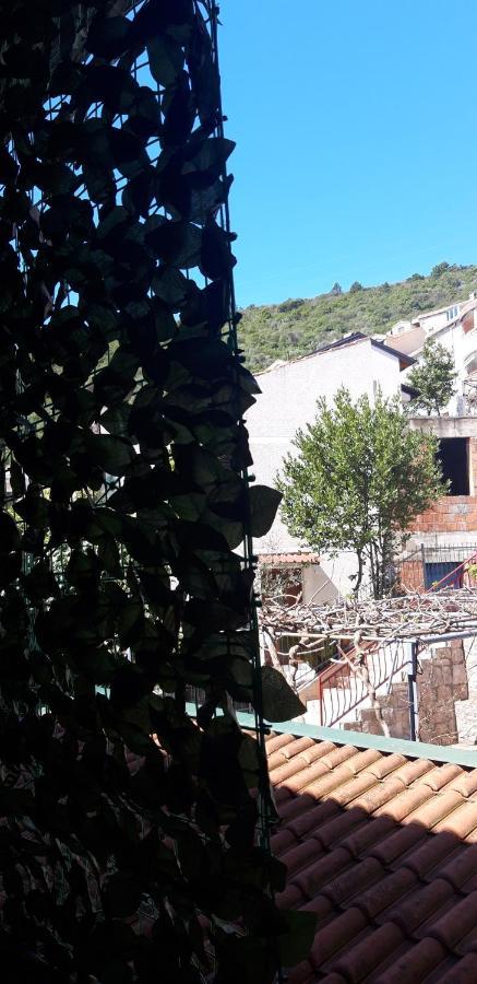 Apartments Krapina Lux Budva Buitenkant foto