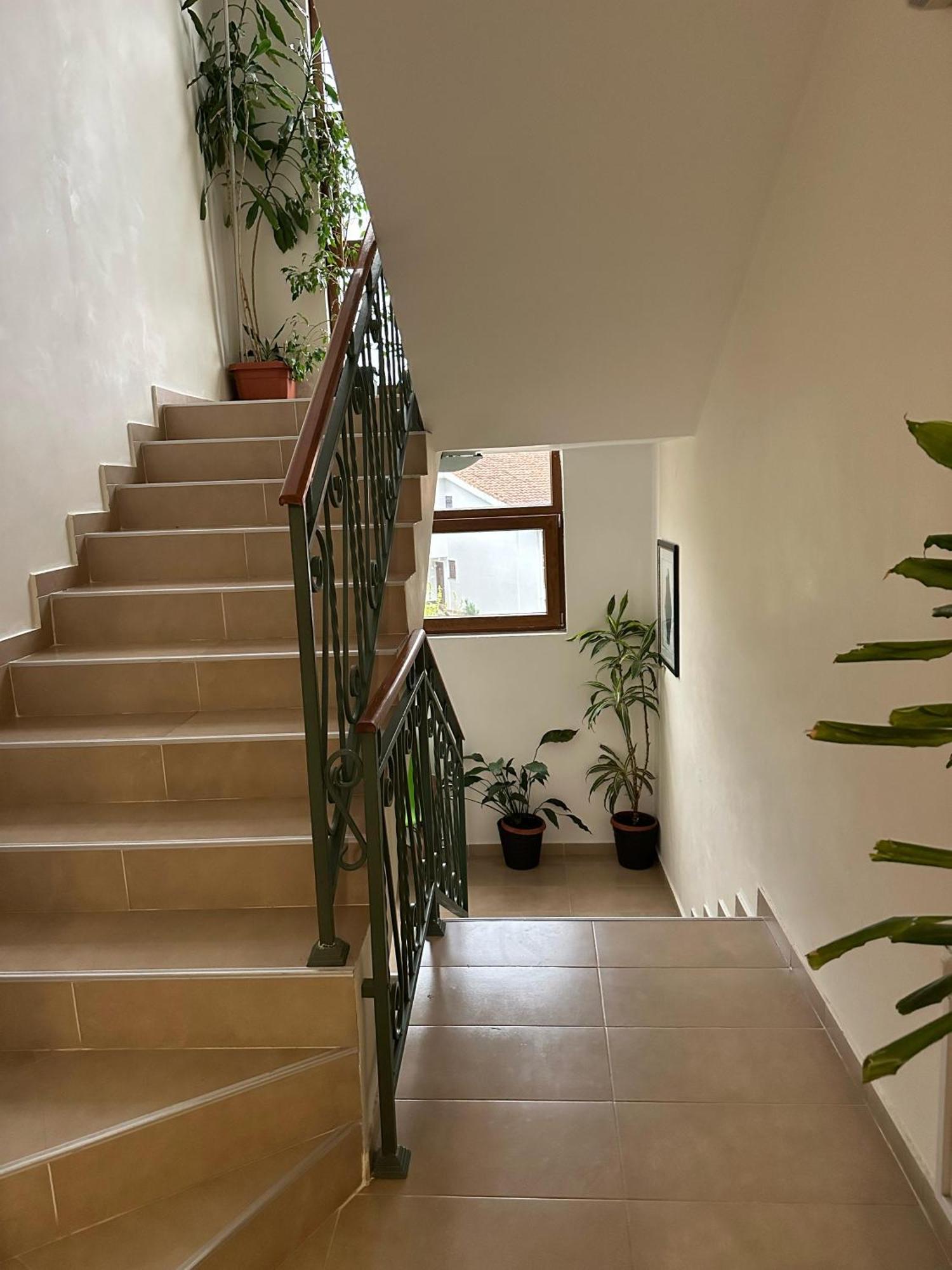 Apartments Krapina Lux Budva Buitenkant foto